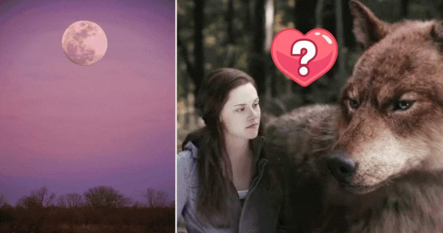 Gaze At The Moon To Test Who Your Werewolf Soulmate Is?